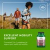 Swanson Mini-Tabs Glucosamine Chondroitin & Msm Joint Mobility Flexibility Comfort