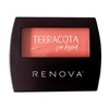 Rubor Renova Terracota Compacto 9g