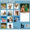 2026 Funny Dogs Full Size Wall Calendar for Planning, Scheduling,
