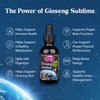 Dragon Herbs Ginseng Sublime Drops | All Natural Extract Supplement