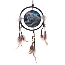 Original Dreamcatcher Little Wolf Guardian of The North, Mixed, Height 16cm Width 16cm Depth 1cm