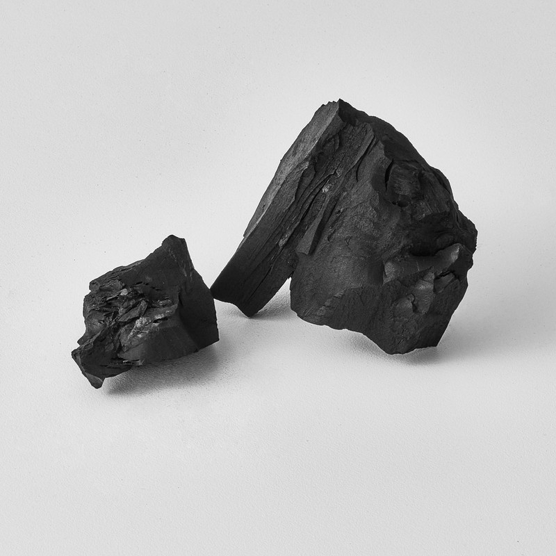 Il Salone Milano Detox Shampoo for All Hair Types -