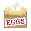 CafePress Eggs Crate Sticker Oval Car Bumper Sticker