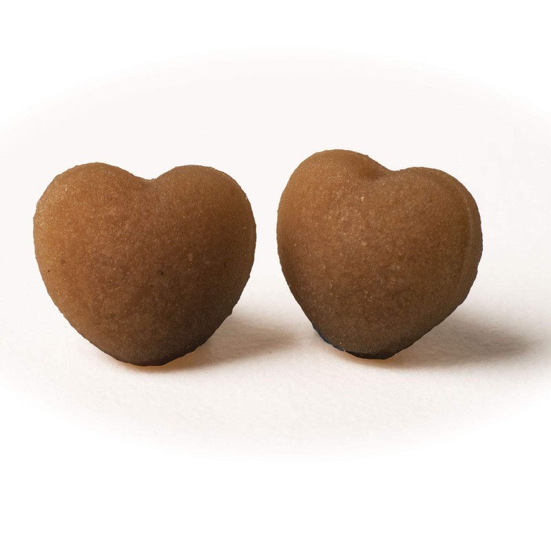 Loving Pets Houndations Training Treats for Dogs, 4 oz