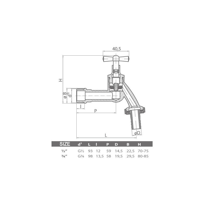 Pepte 5902626235680 037a Garden BIB Tap, Silver