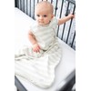 Woolino Ecolino Organic Cotton Toddler Sleep Bag or Sack -