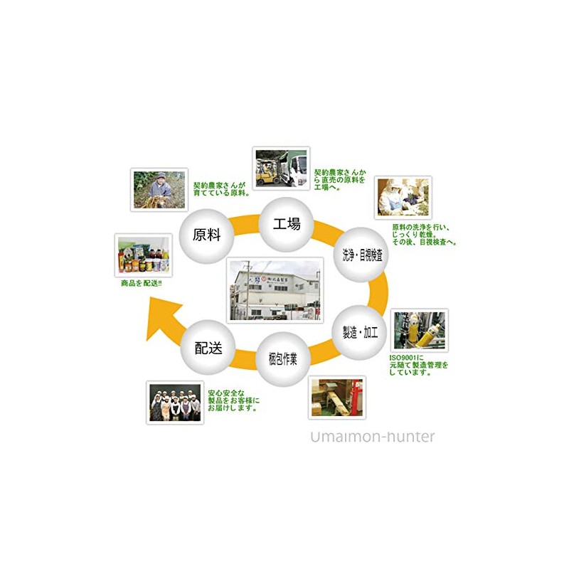 沖縄県産品 春ウコン粉末(袋) 100g