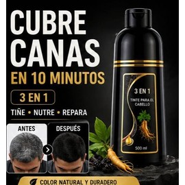Shampoo Tinte Negro 3 en 1, Cubre Canas al Instante, con Jengibre, para Hombre y Mujer, 500 ml