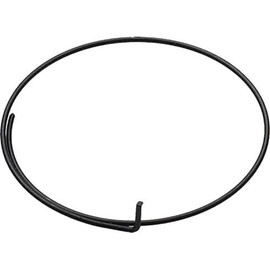 Campagnolo Unisex Wrap Around Freehub Pawl Springs, Silver, 5 Pieces UK