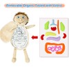 KAKIBLIN Human Body Anatomy Toys, Preschool Educational Organs of The