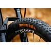 Continental Trinotal 29x2.10 Tubeless Mountain Bike Tire Quick Grip Mixed