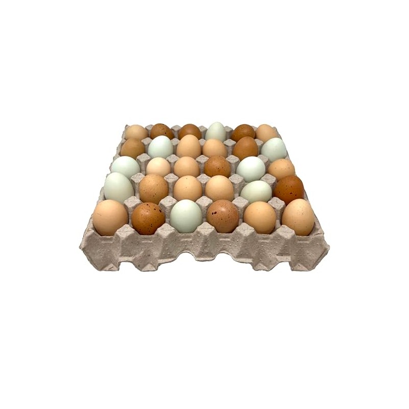 Paper Pulp Egg Trays - 20 Pack