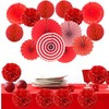 Zerodeco Tissue Paper Pompoms, Paper Fans and Honeycomb Balls, Decorative