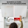 ALCLEAR 721KR detergente frontali cucina 250 ml con panno microfibra