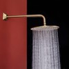 SEABEFORE 16" long sweep shower arm Wall Mounted Gold shower