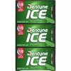 DENTYNE ICE Sugar Free Gum, Spearmint, 16 Pieces (9 Count)