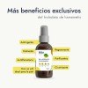 Pack 2 Hebbe Cosmetics Agua de Rosas y Hamamelis Tónico