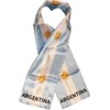 Argentina - Lightweight Flag Scarf