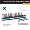 Titan 16136 13-Piece Tamper Resistant Metric Hex Bit Set