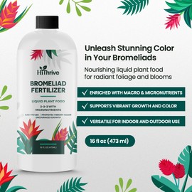 16oz Bromeliad Fertilizer - Makes 24 Gallons of Liquid Bromeliad Plant Fertilizer for Bromeliads Live Plant, 2-2-2 NPK Liquid Plant Food for All Bromeliaceae Plants’ Vibrant Growth & Blooms