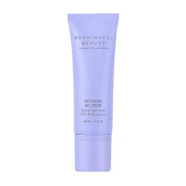 Meaningful Beauty Beyond Environmental Protecting Moisturizer Broad Spectrum SPF 30, 1.7 Fl Oz