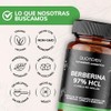 Quotidien | Berberina HCL 97% | 500mg de Berberina Clorhidrato,