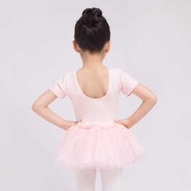 Dancina Girls Skirted Leotard Sparkle Short Sleeve Tutu Ballet Dress Front Lined