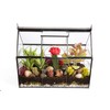 D'Eco Glass Greenhouse Terrarium (10x4.5x9) - Tabletop Black Hinged Geometric