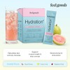 Feel Goods- Hydration Hero, 1000 mg de electrolitos en polvo,