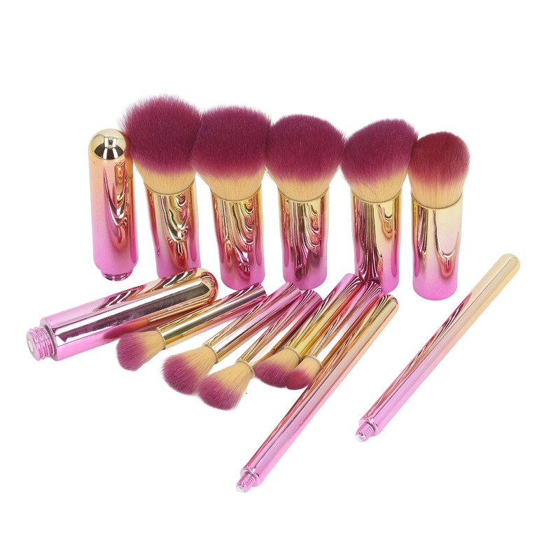 10PCS Travel Makeup Brushes Detachable Handle Powder Brush Set for