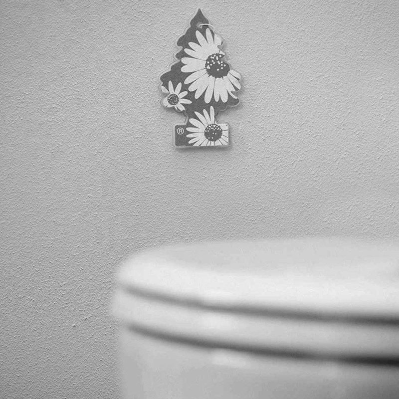 Little Trees Tree House Tree-Shaped Air Freshener Holder, Clear, Single