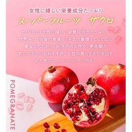 有機JAS ザクロ濃縮エキス 10倍濃縮タイプ ザクロジュース 100% 石榴ジュース エラグ酸 (1個)