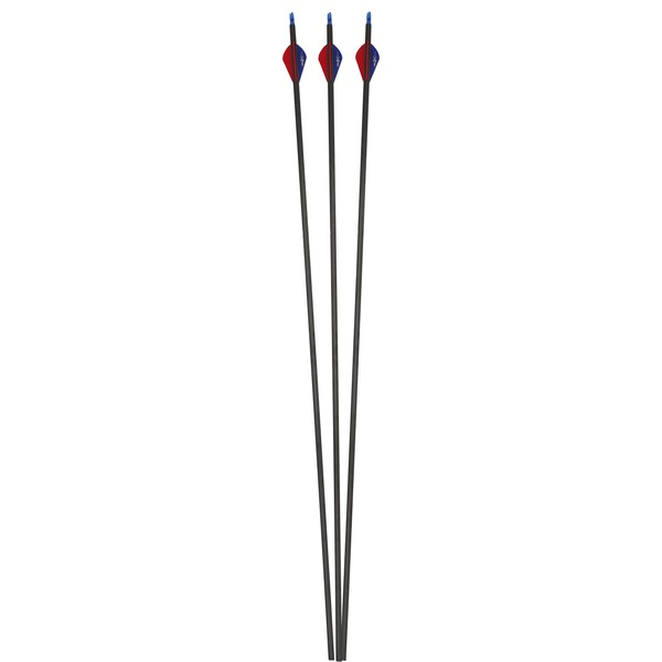 SAS 30" 350 Carbon Arrows with 2" Vanes - 12/Pack for Archery Bows (2" VaneTec Vanes)