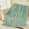 NEWCOSPLAY Super Soft Throw Blanket New Sage Green Premium Silky