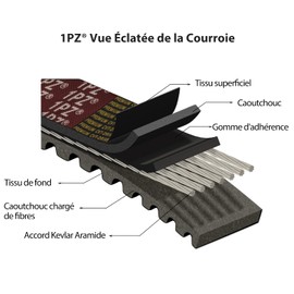 1PZ FBL-84C CVT 842-20-30 Drive Belt Replacement for GY6 125cc 150cc Scooter ATV Quad Wheeler Go Kart Cycle 157QMJ/152QMI