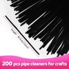 Praisebank Black Pipe Cleaners for Crafts (200pcs), Chenille Stems for