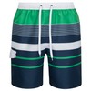 Mareno® Men's Swimming Trunks, Black Check - Striped Green, size:
