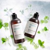 L'Occitane Pure Fresh Trial Shampoo Conditioner Set, Mini Size, Travel