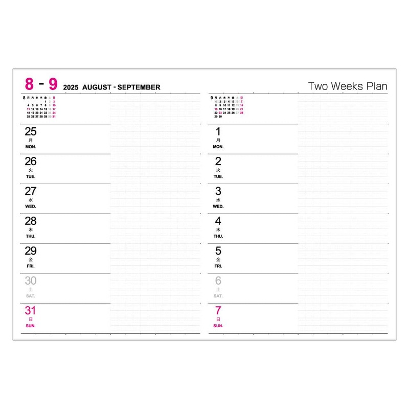 Logical Diary NS-A604-25AD 2025 Two-Week A/A6/Black
