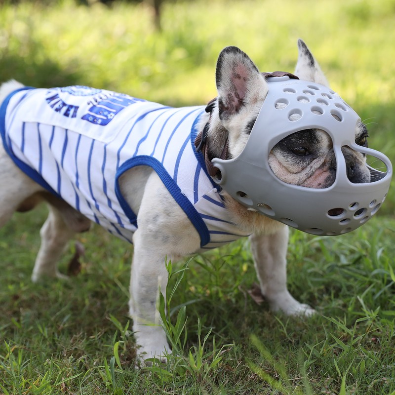 Dog Muzzle for Short Snout Dogs Breathable Holes Prevent Biting