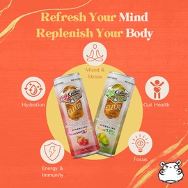 High Ground Elixir Mushroom Seltzer – Variety Pack | Lion’s Mane for Focus, Reishi for Stress, Cordyceps, Chaga, Turkey Tail, L-Theanine | Adaptogen Drink | Low Cal, No Added Sugar, 12oz Cans