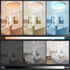 DoHome Smart LED Ceiling Light Work with Apple Homekit Alexa