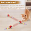 ROTESONNE Interactive Cat Toys, Cat Ball Fast Rolling in Pouch,