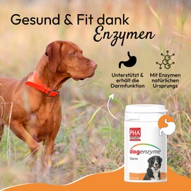 PHA dogenzyme intestine - for the maintenance and support of normal intestinal functions of the dog, dog tablets, pack of 100
