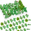 Chinchetas De Madera y Palma De Cactus, Decorativas para Fotos,