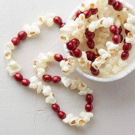 Factory Direct Craft 10 Feet Old Fashion Look Artificial Popcorn Cranberry Garland
