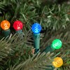 Northlight LED G12 Berry Christmas Lights - 16' Green Wire