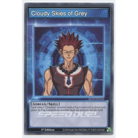 Cloudy Skies of Grey - SGX3-ENS16 - Common - 1st Edition