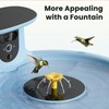 Birdfy Bath Plastic Standing Board for Hummingbird & Small Bird,