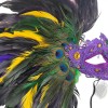 Masquerade Mask Purple Elegant Beautiful Gems & Feather Swan Mardi